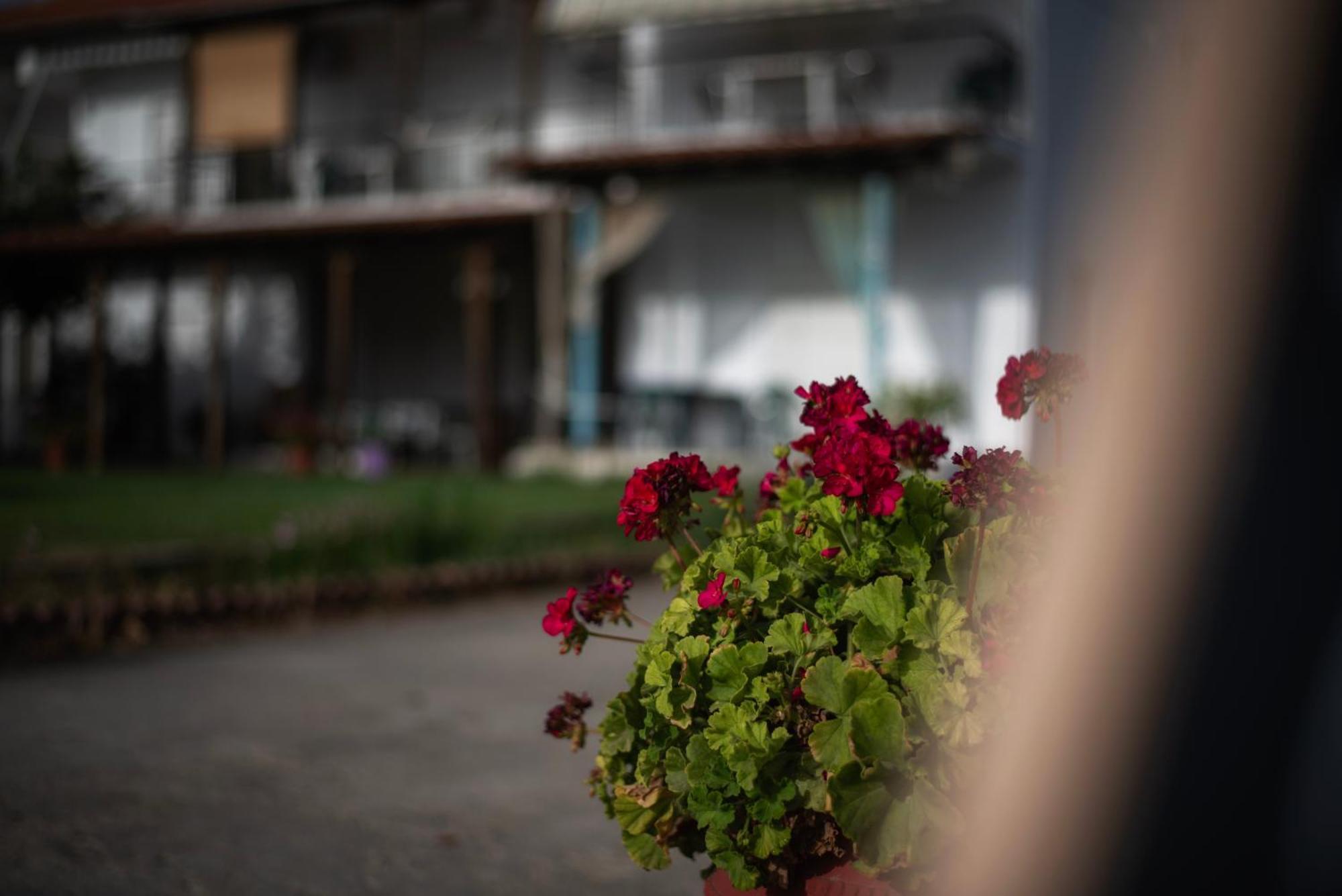 Marilena Apartments Anastasiou Velika  Exterior photo
